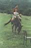 Tuna is on the same horse.
